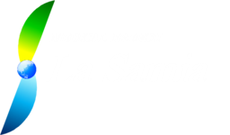 MEDICAL FRENCH  La Samia